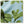 Blue pillow cover with green fig leaf pattern, square fabric panel