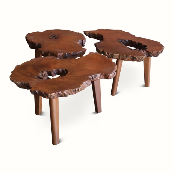 Live edge side table, wooden slab with blue resin holes, three tapered legs.
