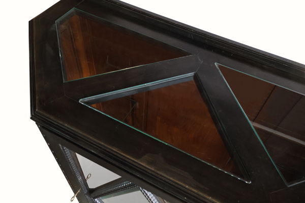 Vitrine cabinet interior with slanted glass shelf and dark wood frame
