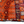 Orange rug with geometric motifs, navy frame, multicolor accents, short fringe