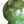 French Pottery Lamp
