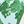 Close-up of green leaf print on pale blue runner fabric