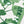 White fabric runner with dense green fig leaf print, close-up