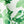 Leaf-printed tablecloth fabric close-up, green leaves on white with woven texture