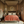 Orange alpaca bedcover/throw with white border and fringed hem draped on a bed